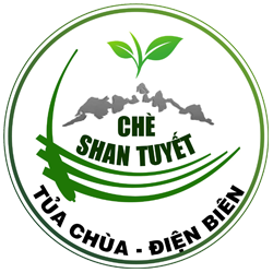 CHÈ SHAN TUYẾT TỦA CHÙA